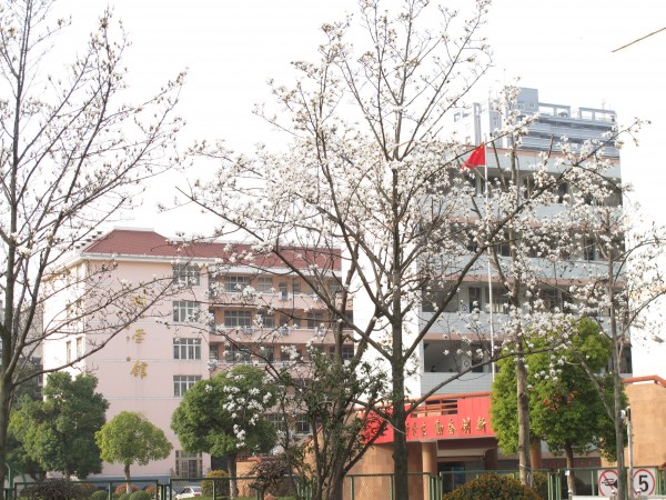 微信圖片_20221114152136.jpg
